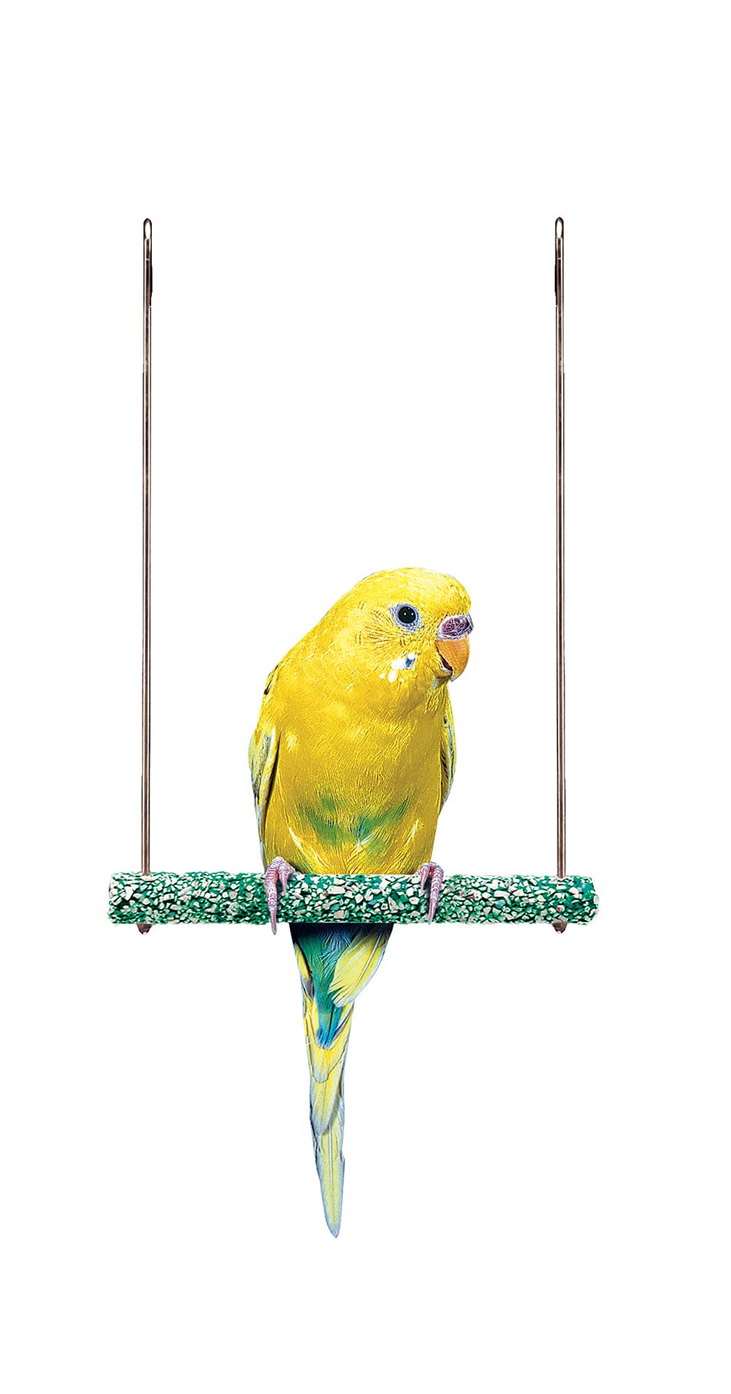 Penn-Plax Bird-Life Trimmer Plus Cement & Metal Swing – Naturally Trims Nails & Beak – Great For Parakeets, Cockatiels, Finches, And Other Small Birds – Small Size