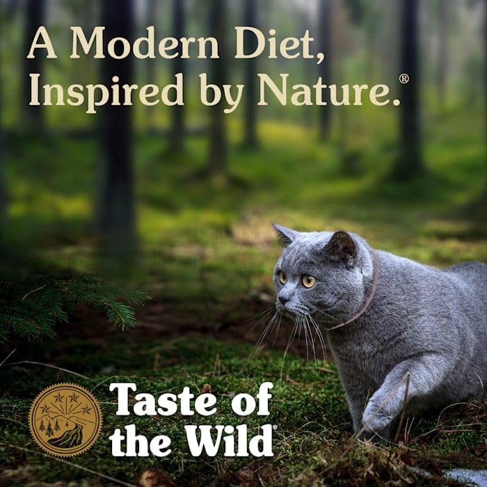 Taste of the Wild 418652 Grain Free Real Meat Recipe Premium Wet Canned Stew Cat Food (Case of 24), 3oz