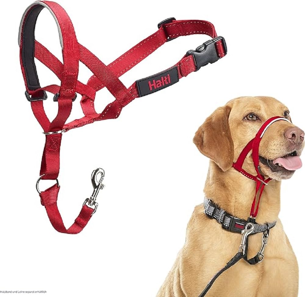 The Company Of Animals - Halti Headcollar - Adjustable And Padded - No Pull Training Tool For Dogs On Walks - Includes Free Trai