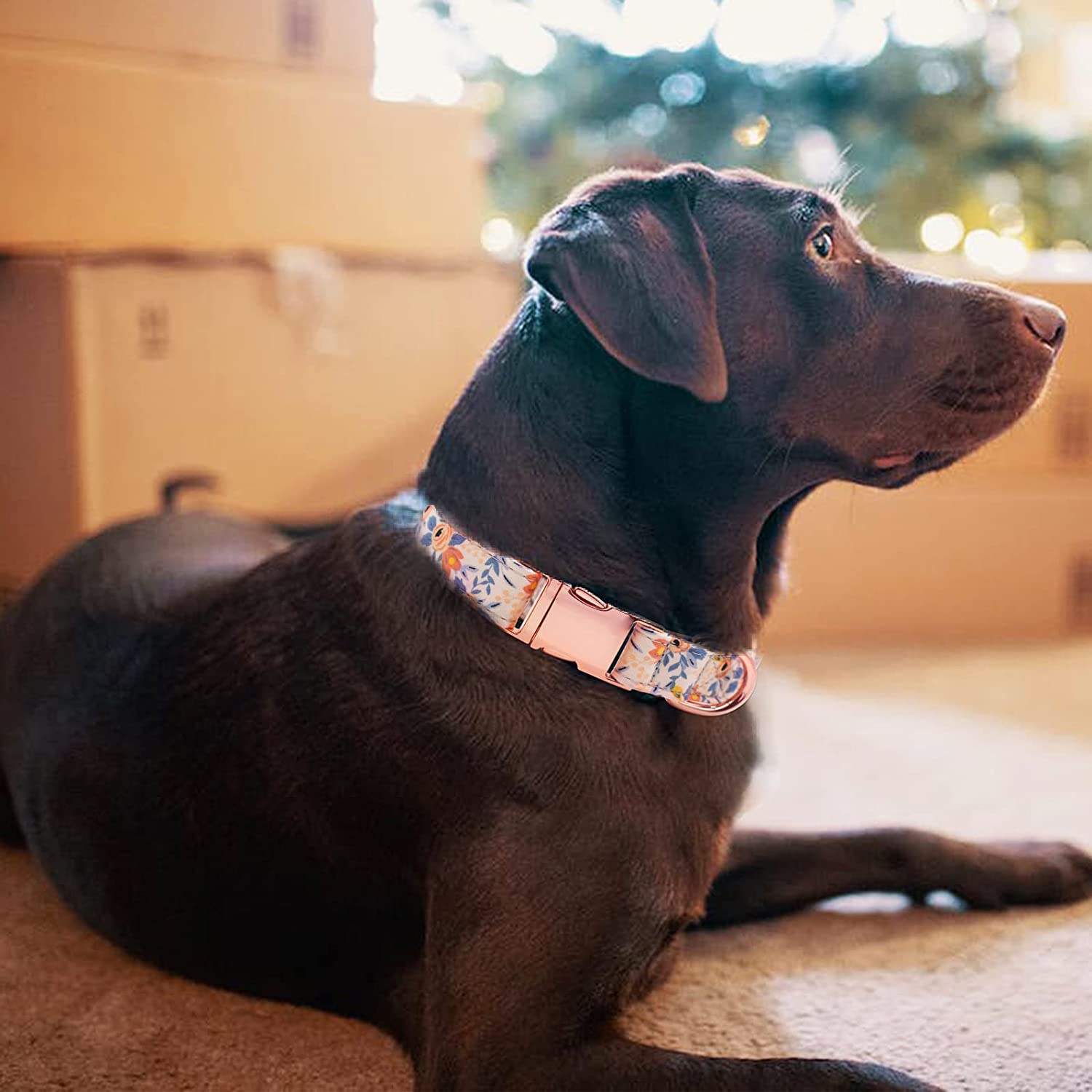 Xdudeed Wud Dog Collar, Cute Flower Floral Patterns Pet Collars For Girl Female Boy Small Medium Large Dogs, Strong Rose Gold Me