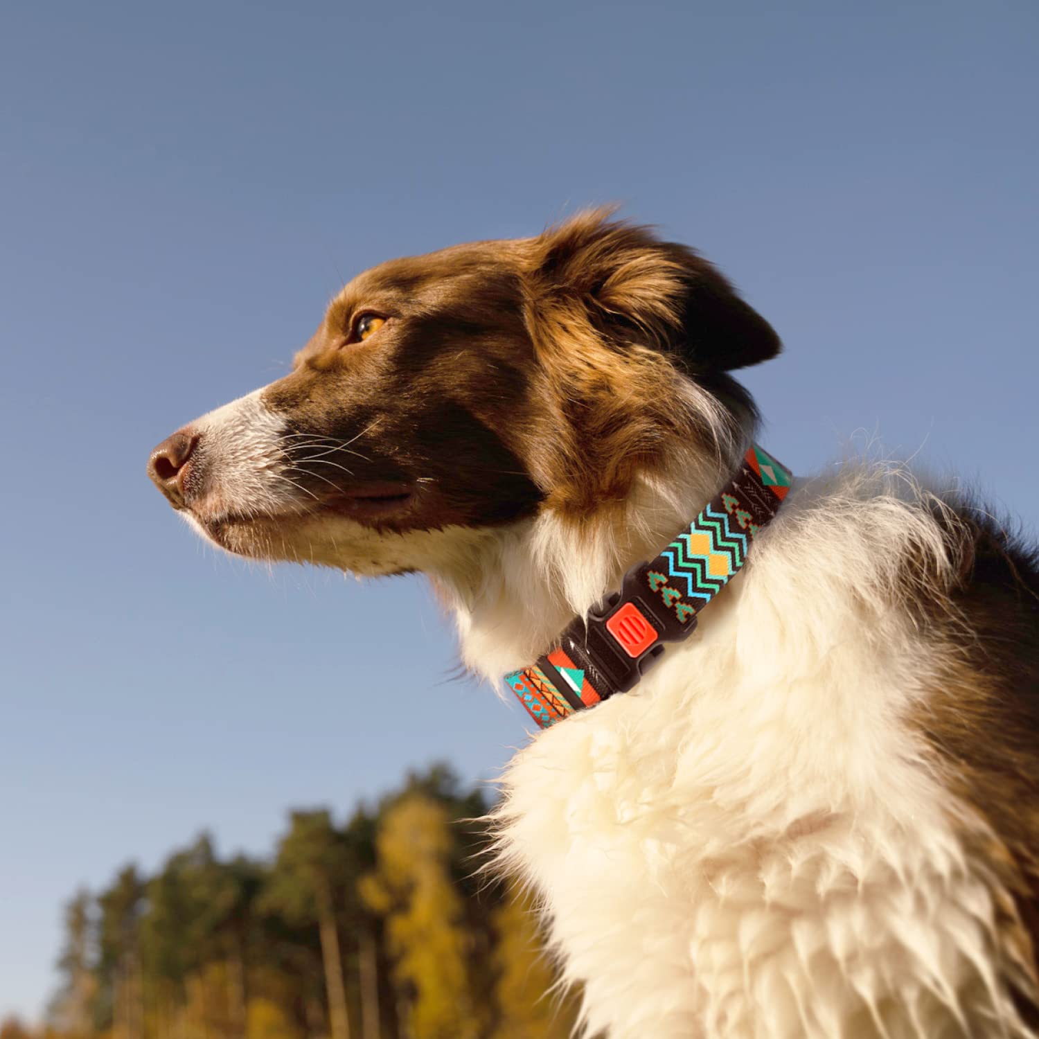 Collardirect Dog Collar For Small Medium Large Dogs Or Puppies, Cute Unique Design With A Quick Release Buckle, Tribal Ethnic Aztec Pattern, Adjustable Soft Nylon (Tribal, Neck Fit 14'-18')
