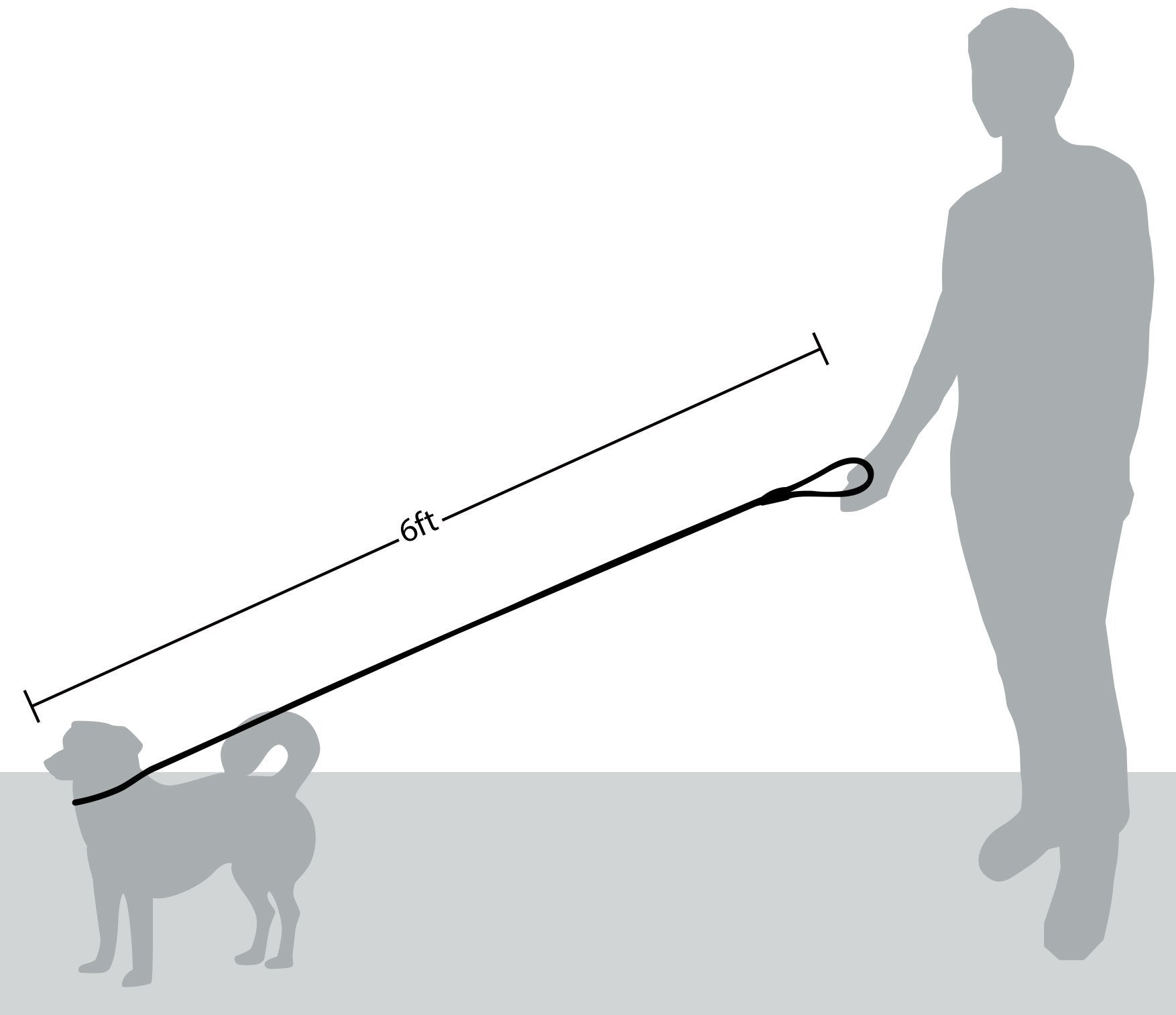 Friends Forever Dog Rope Leash - Durable 6ft Reflective Training Slip Lead, Heavy Duty Nylon, Silver