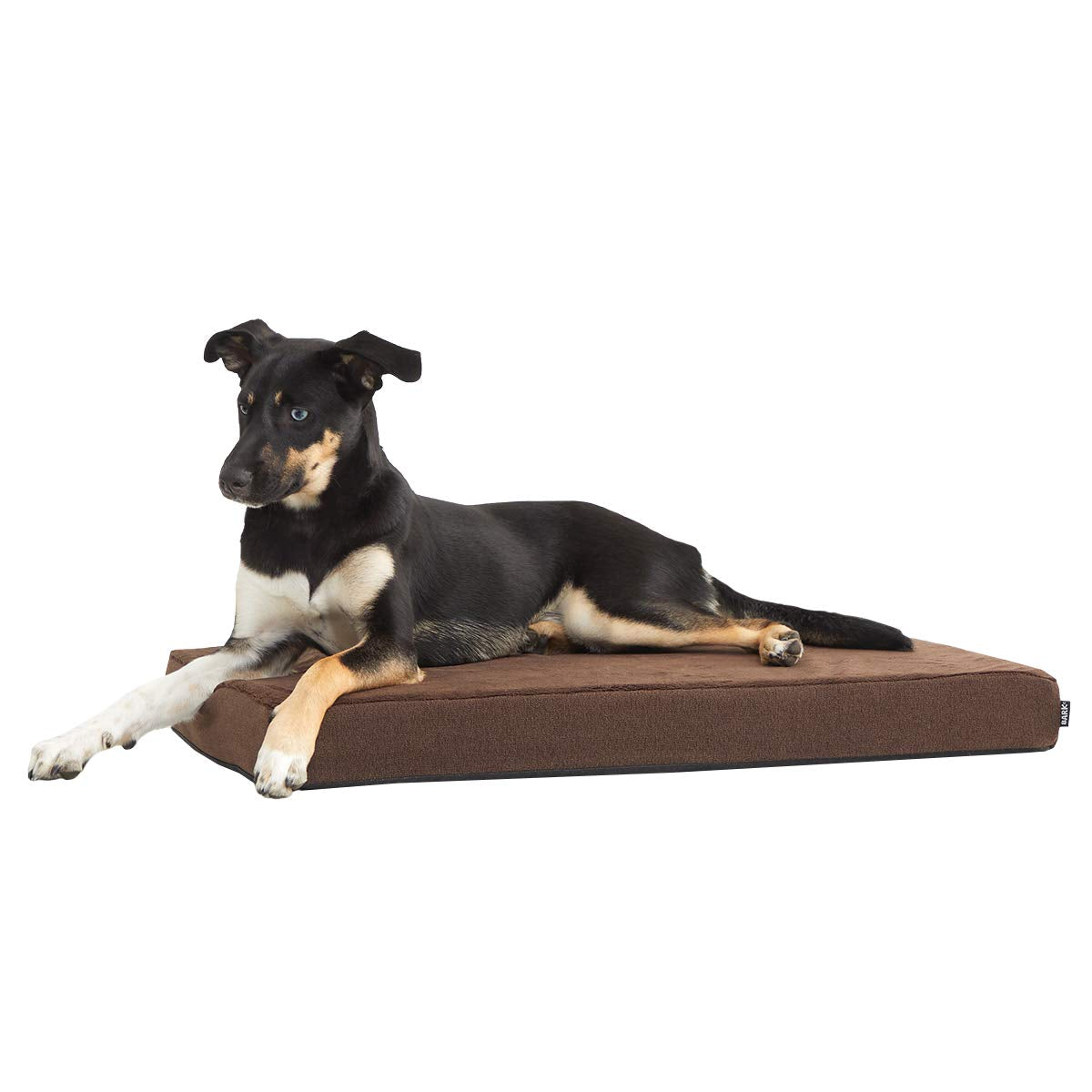 Barkbox Memory Foam Platform Dog Bed  Plush Mattress For Orthopedic Joint Relief (Medium, Espresso)
