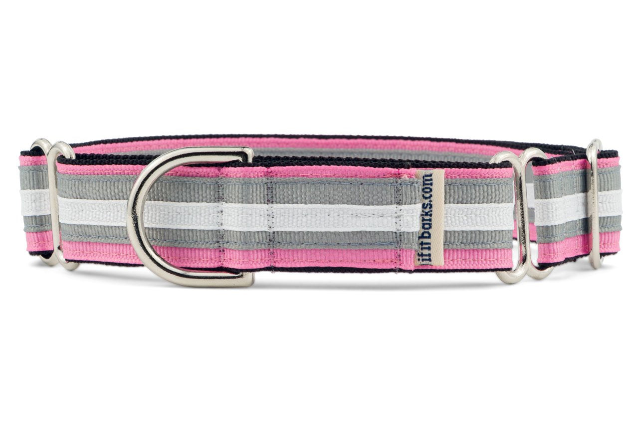 If It Barks 1 Martingale Collar For Dogs, Adjustable Nylon, Usa Made, Medium, Spunky