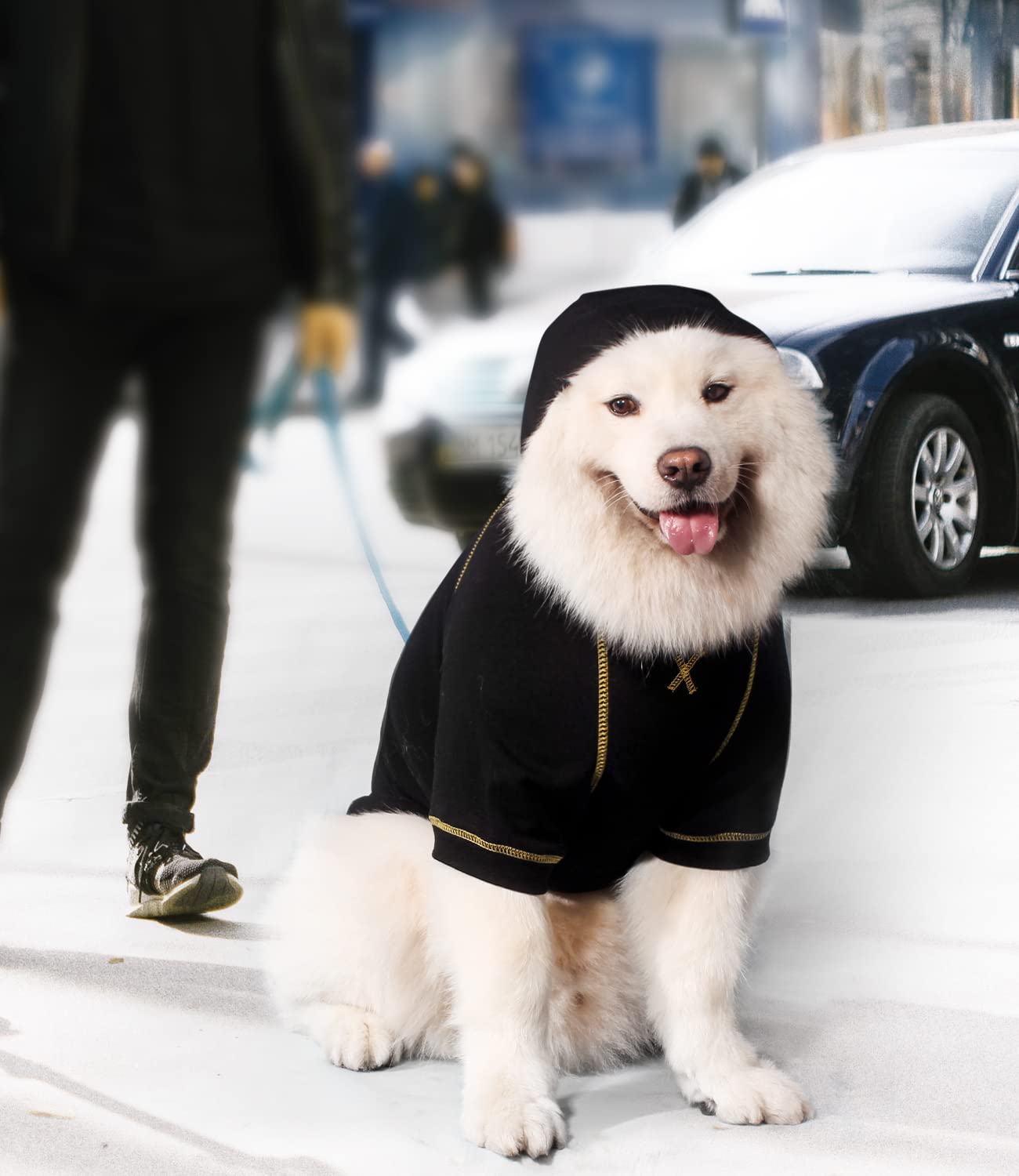 Kickred Basic Dog Hoodie Sweatshirts, Pet Clothes Hoodies Sweater With Hat And Leash Hole, Soft Cotton Outfit Coat For Large Medium Small Dogs