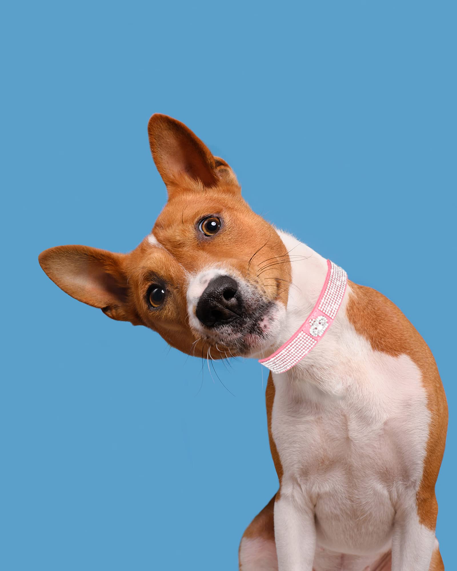 Dog Collar For Small Dogs, Adjustable Leather Suede Bling Dog Collars,Pink Dog Collar Cat Collar, Rhinestone Dog Collar (S, Pink