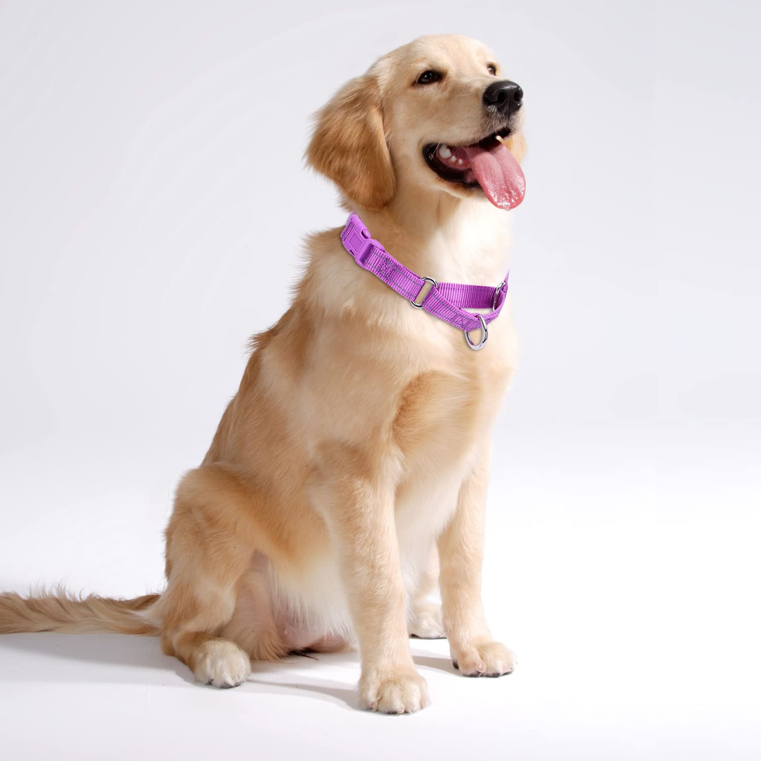 Pimaodog Martingale Dog Collars - Reflective Dog Collar With Quick Release Buckle Adjustable Nylon Training Dog Collar For Puppi