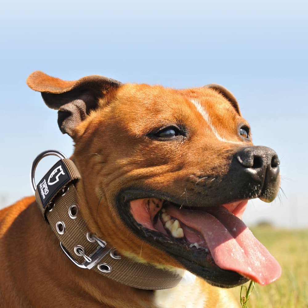 Tspro 1.5Inch Tactical Dog Collar Military Strong Dog Collar Working K9 Dog Collar With Metal Buckle And Usa Flag Patch For Medium Large Dogs(Khaki-M)