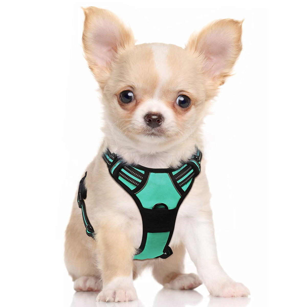 Rabbitgoo Dog Harness, No-Pull Pet Harness With 2 Leash Clips, Adjustable Soft Padded Dog Vest, Reflective No-Choke Pet Oxford Vest With Easy Control Handle For Small Dogs, Turquoise, S