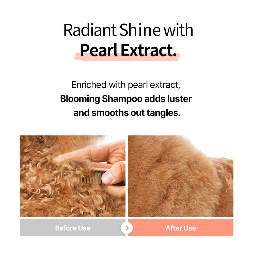 Breezytail Blooming Whitening Dog Shampoo, Loved By Top Korean Groomers, Deep Cleansing With Natural Ingredients For Radiant Coa