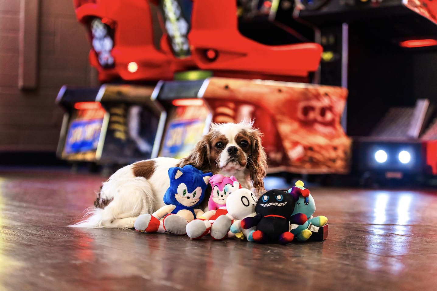 Multipet Sonic Chao - Hero Plush Dog Toy