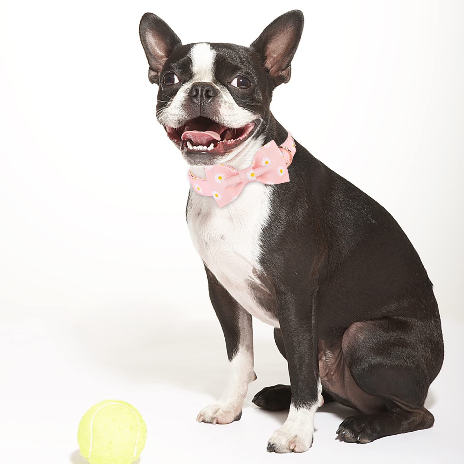 Babole Pet Dog Collar With Pink Daisy Bow Tie,Cotton Dog Collar With Safety Metal Buckle Adjustable Puppy Collars For Small Medium Large Boy&Girl Dog,Small,Neck 10'-16'