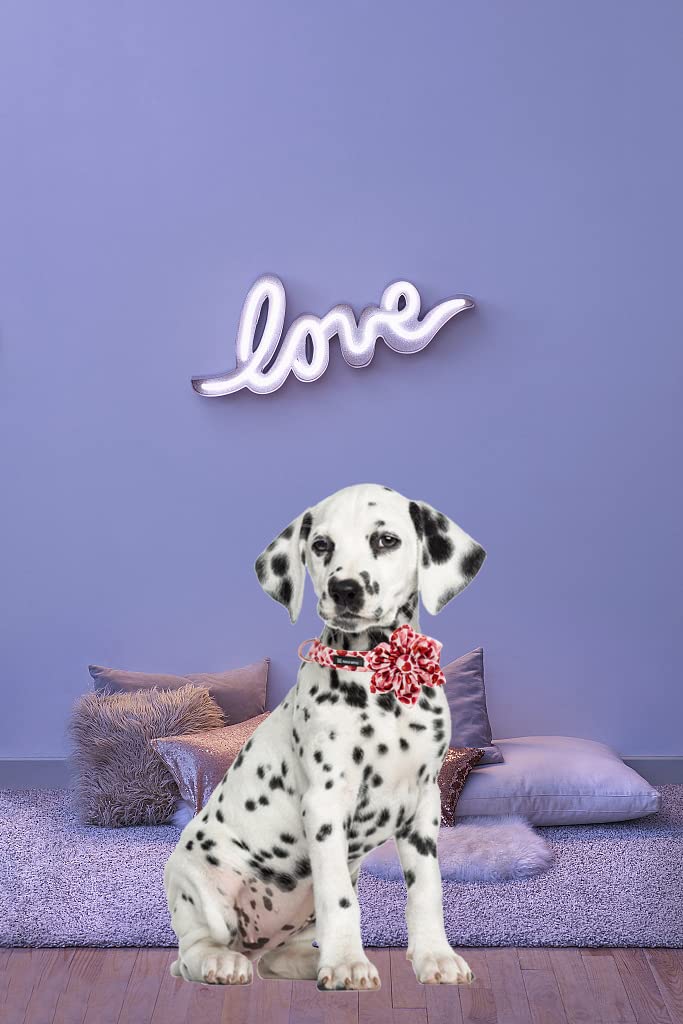 Maca Bates Valentine? Day Dog Collar With Bow/Flower/Bow Tie, Sweet Heart Adjustable Collar For Small Medium Large Dog With Metal Buckle