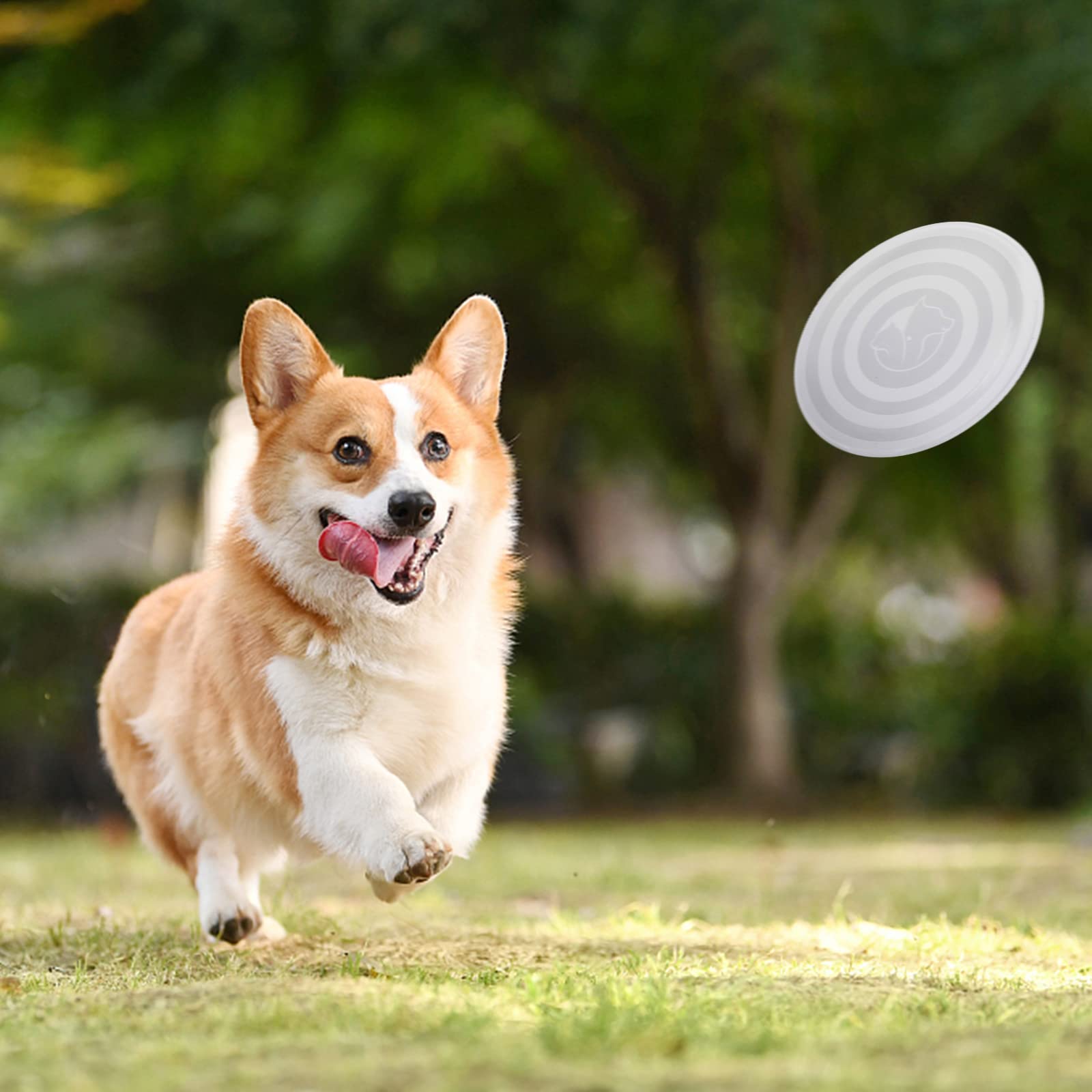 Slson Dog Bowls Pet Collapsible Bowl With Cover Lids,2 Pack Dog Travel Bowls Portable Foldable Cat Water Dish Bowl For Pets Walking Parking Camping (Black And Black, Small)