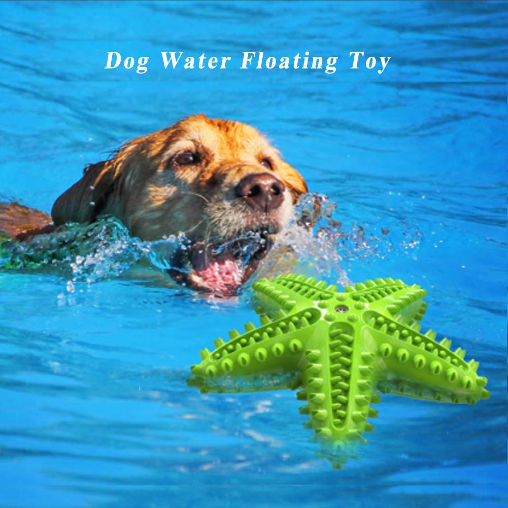 Idolpet Squeaky Dog Toys - Starfish Natural Teeth Cleaning Toy For Small & Medium Dogs (Green)
