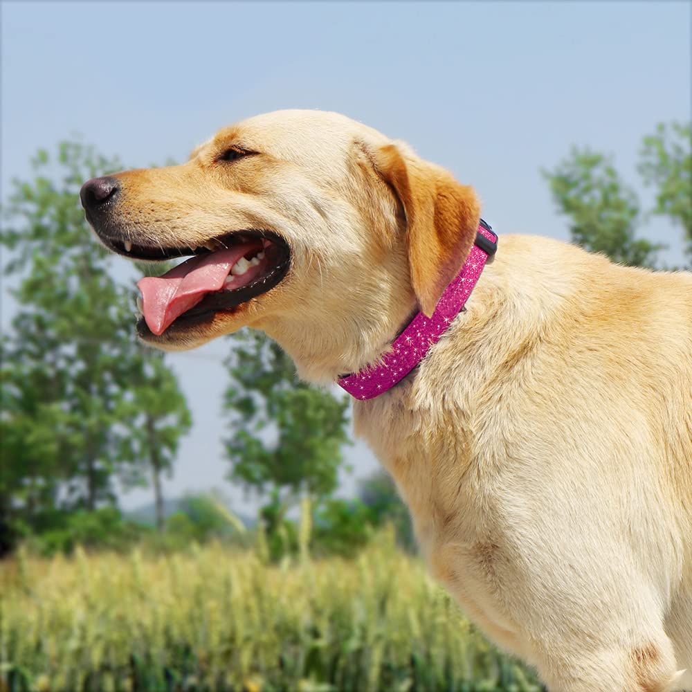 Tdtok Glittering Basic Dog Collar, Comfy & Durable Dog Collar For Small Medium Large Dogs With Eco-Friendly Plastic Buckle, Adju