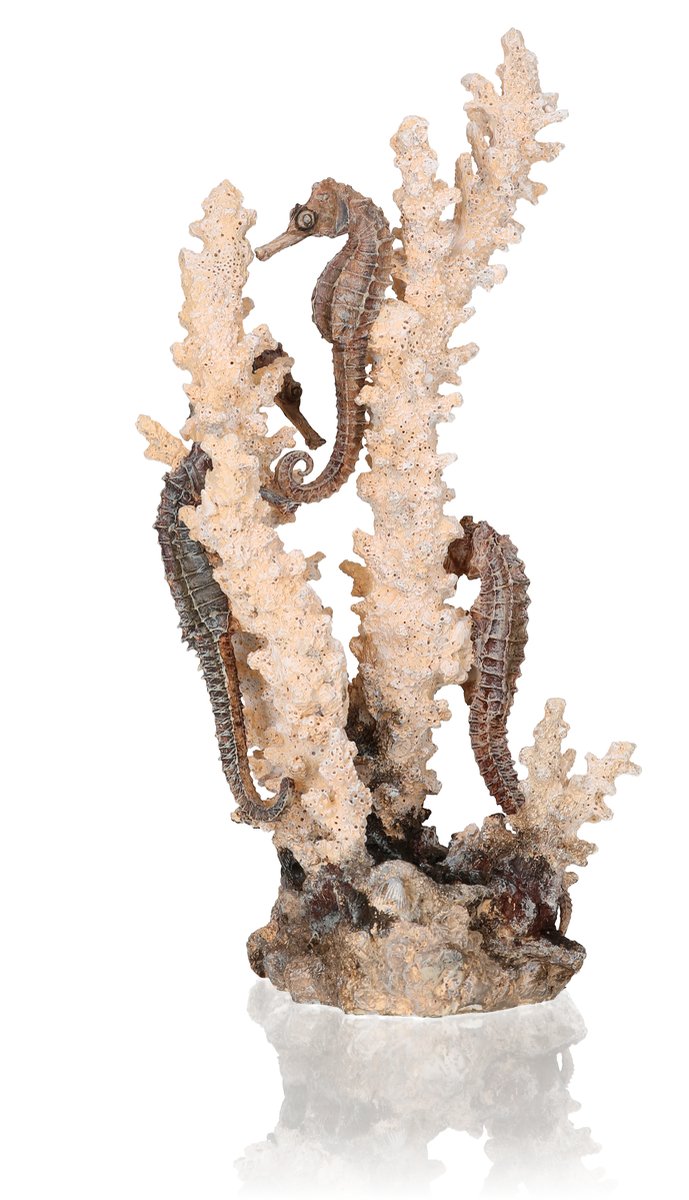 Biorb Medium Seahorse Sculpture, Ceramic Resin Centerpiece For Freshwater And Marine Aquariums, Beige/Tan
