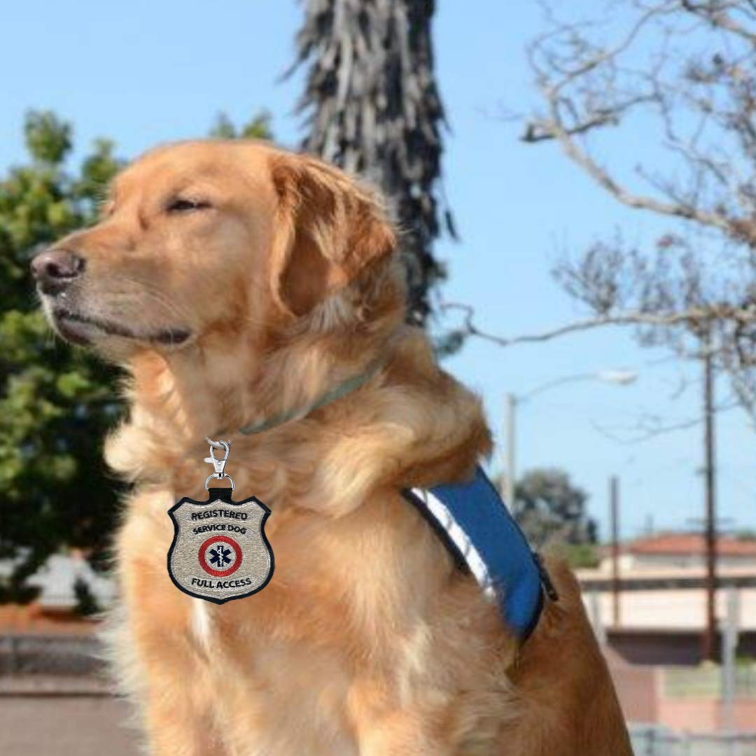 “Registered Service Dog” Identification Patch Tag | Clips On Service Dog Vest, Harness, Collar, Leash Or Carrier | Includes Five Service Dog Handout Cards