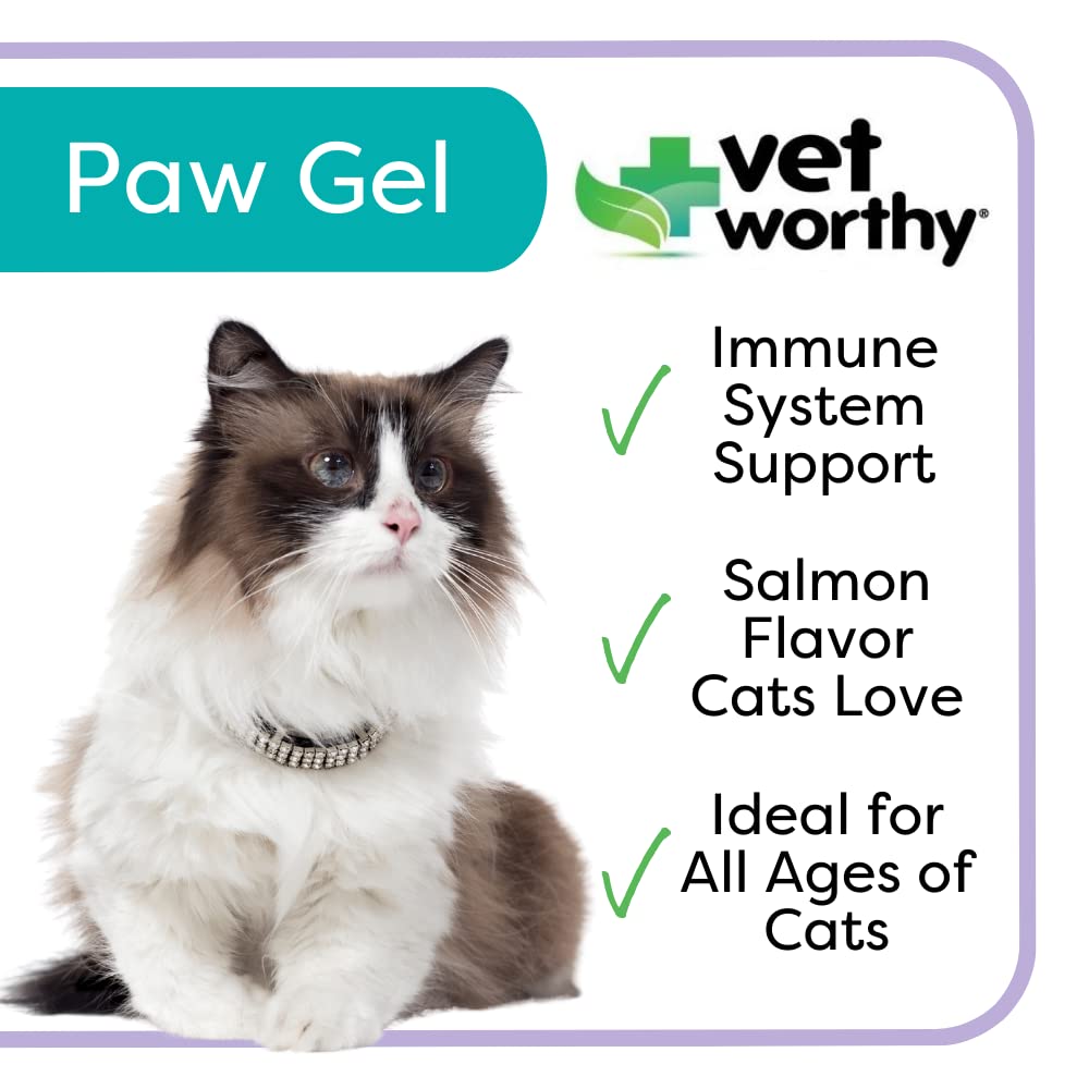 Vet Worthy Lysine Paw Gel Aid for Cats - Cat Paw Gel to Support The Immune System and Overall Health - Cat Supplement with Amino