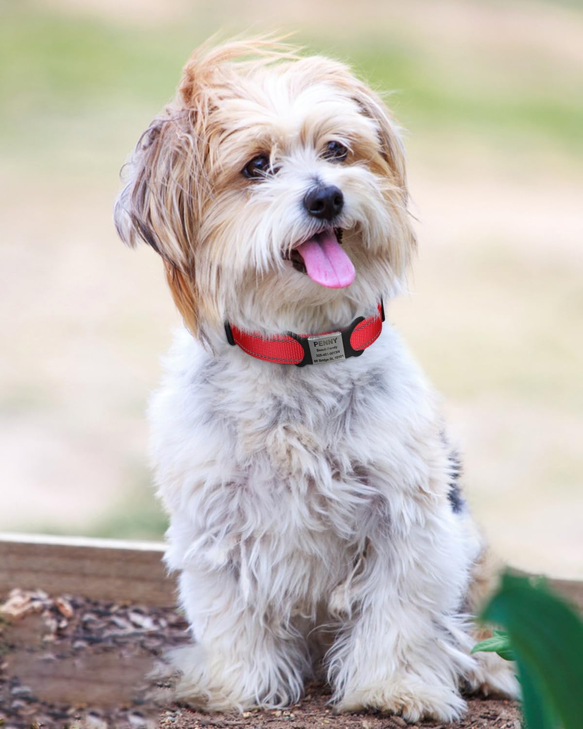 Tagme Reflective Nylon Dog Collars, Adjustable Classic Dog Collar With Quick Release Buckle For Small Dogs, Red, 5/8' Width
