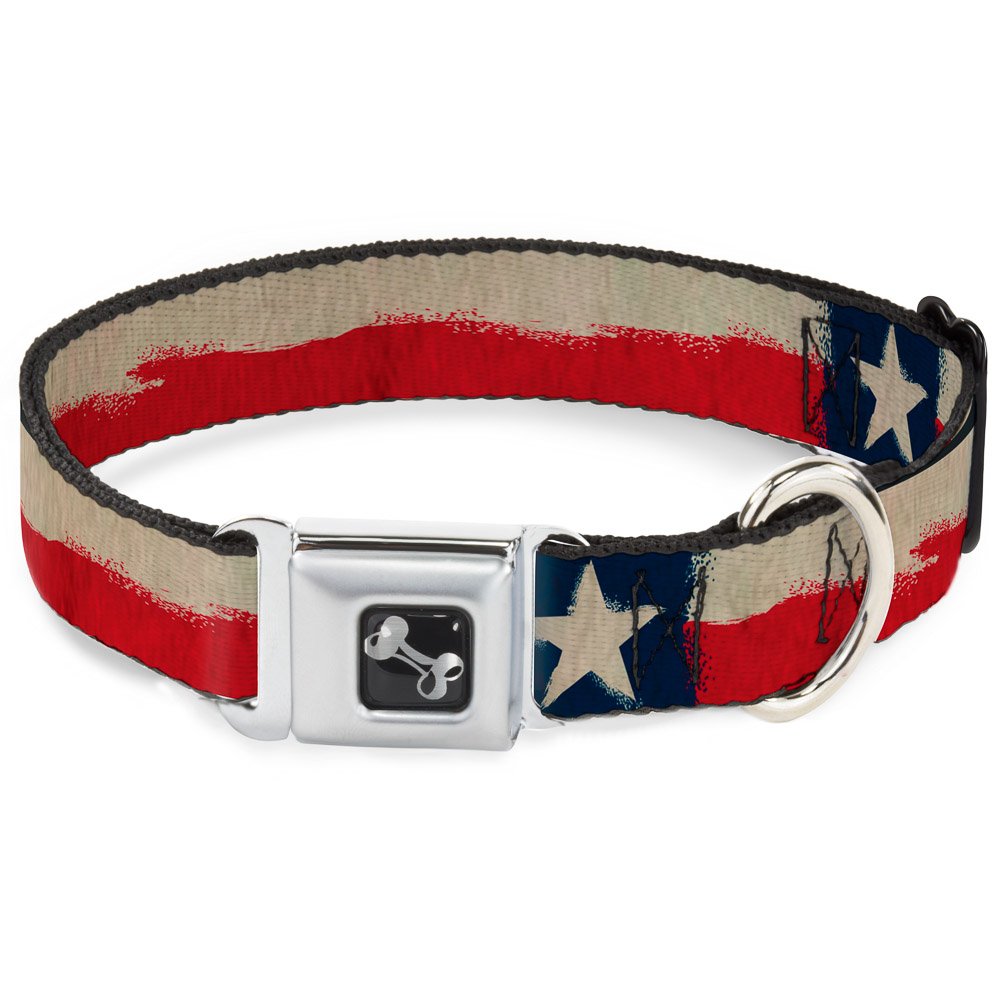 Buckle-Down Dog Collar Seatbelt Buckle Texas Flag Close Up Distressed Painting, Multicolor, 1' Wide - Fits 15-26' Neck - Large