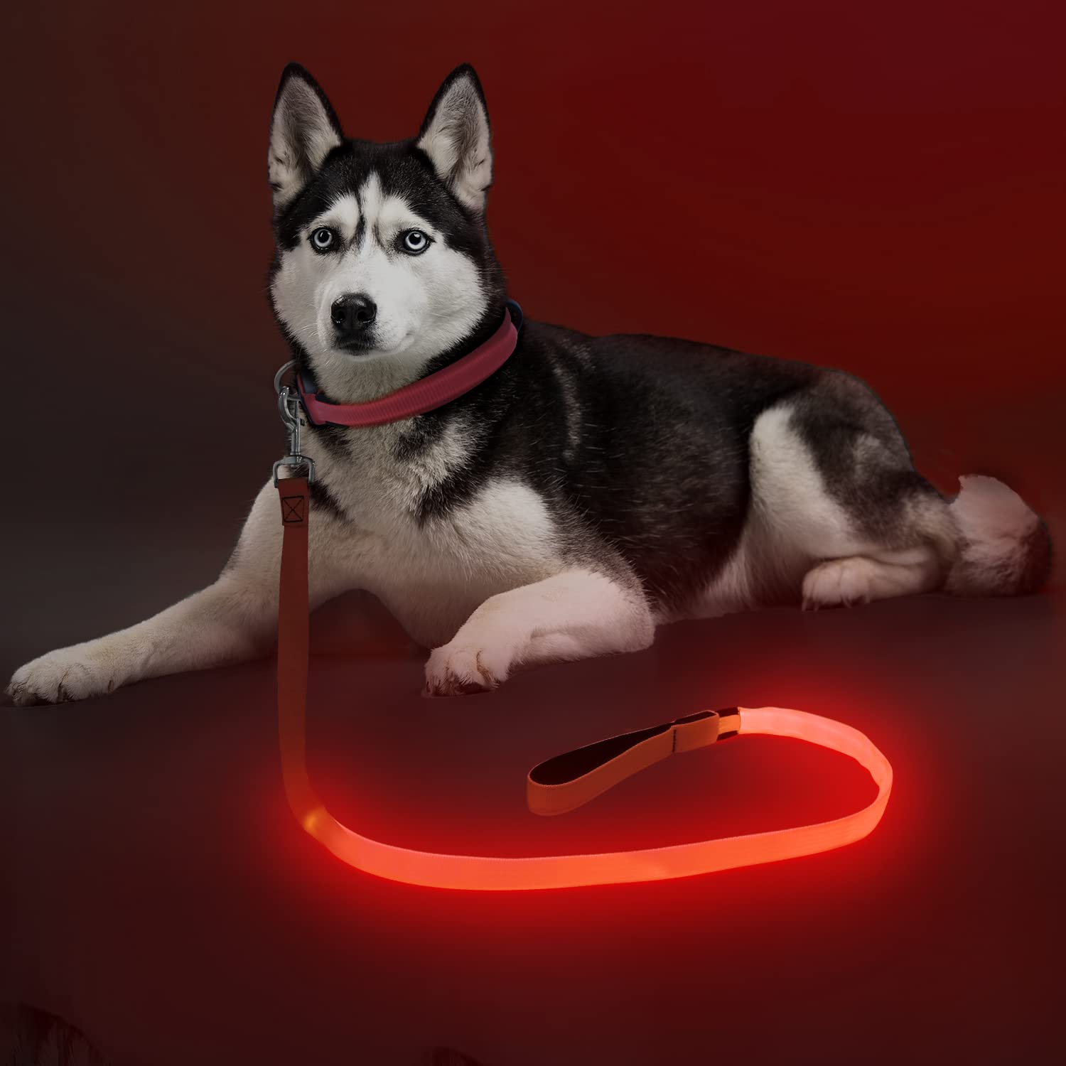 Colaseeme Light Up Dog Leash, 4FT LED Pet Leashes Micro USB Rechargeable, Nylon Glow Safety Dogs Lights at Night (Red)