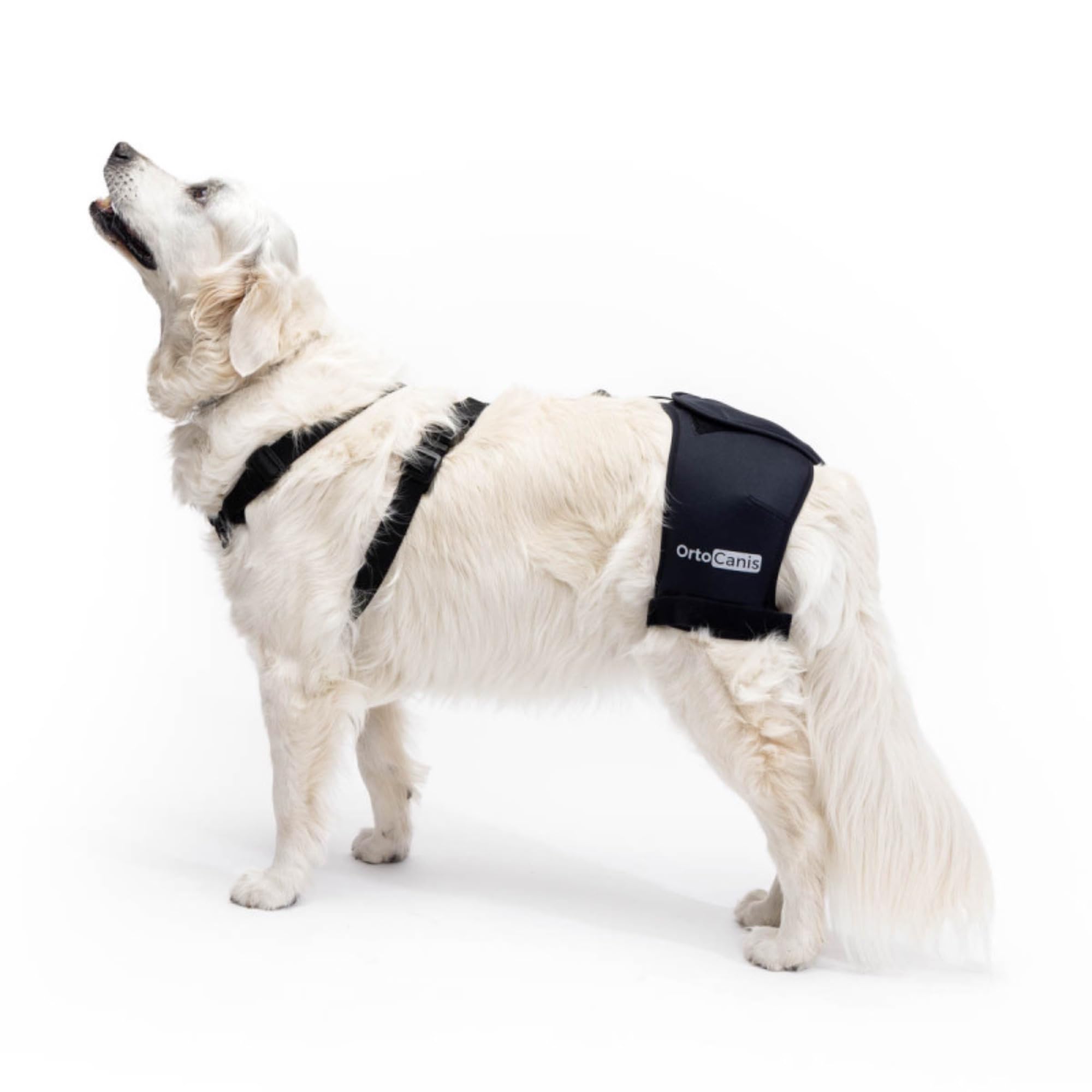 Ortocanis - Hip Support for Dogs with Hip Dysplasia or Osteoarthritis (M)