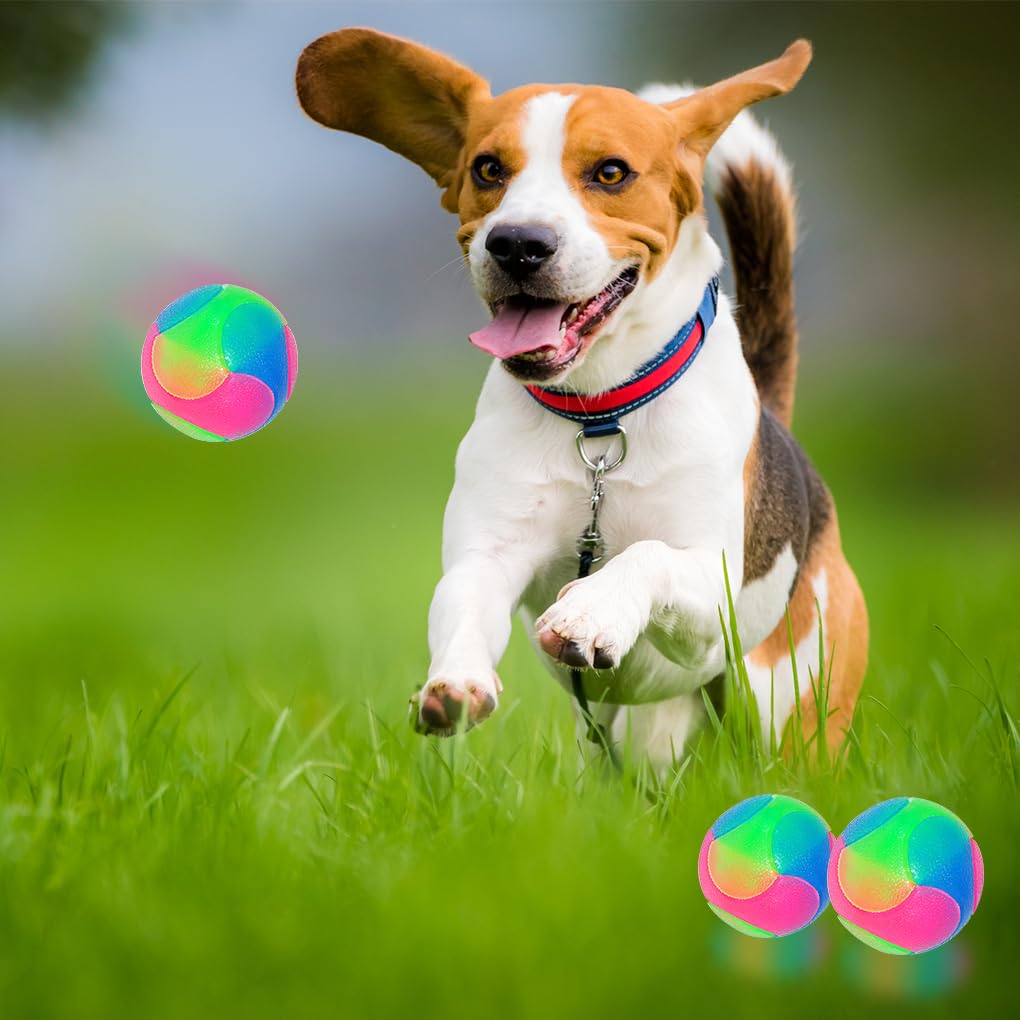 Fineinno 2 Pcs Large Light Up Dog Balls Flashing Elastic Ball Bouncy Glow In The Dark Interactive Jumping Blinking Dog Ball Pet