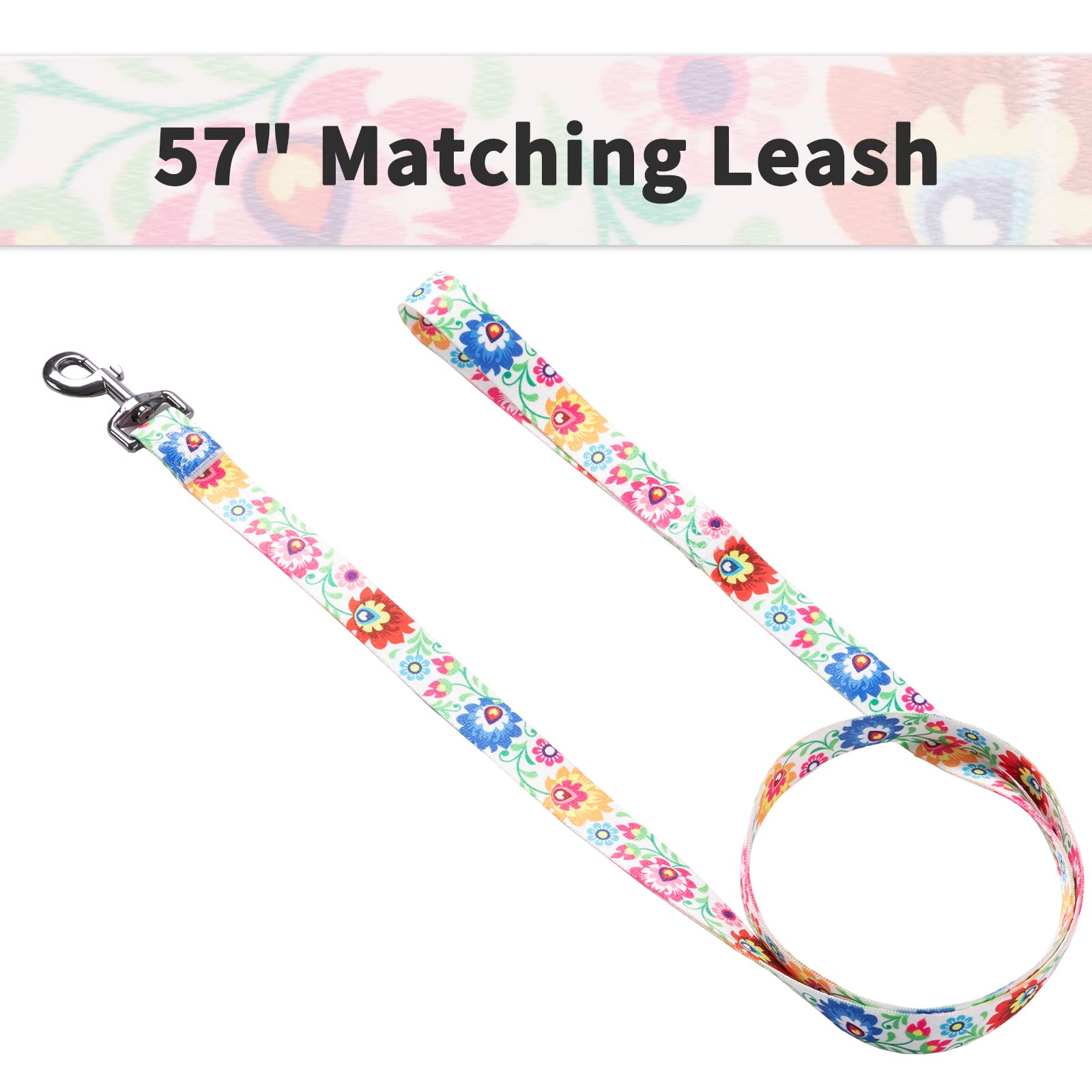 Ihoming Dog Collar and Leash Set for Daily Outdoor Walking Running Training, White Colorful Flowers Design for Small Boys Girls