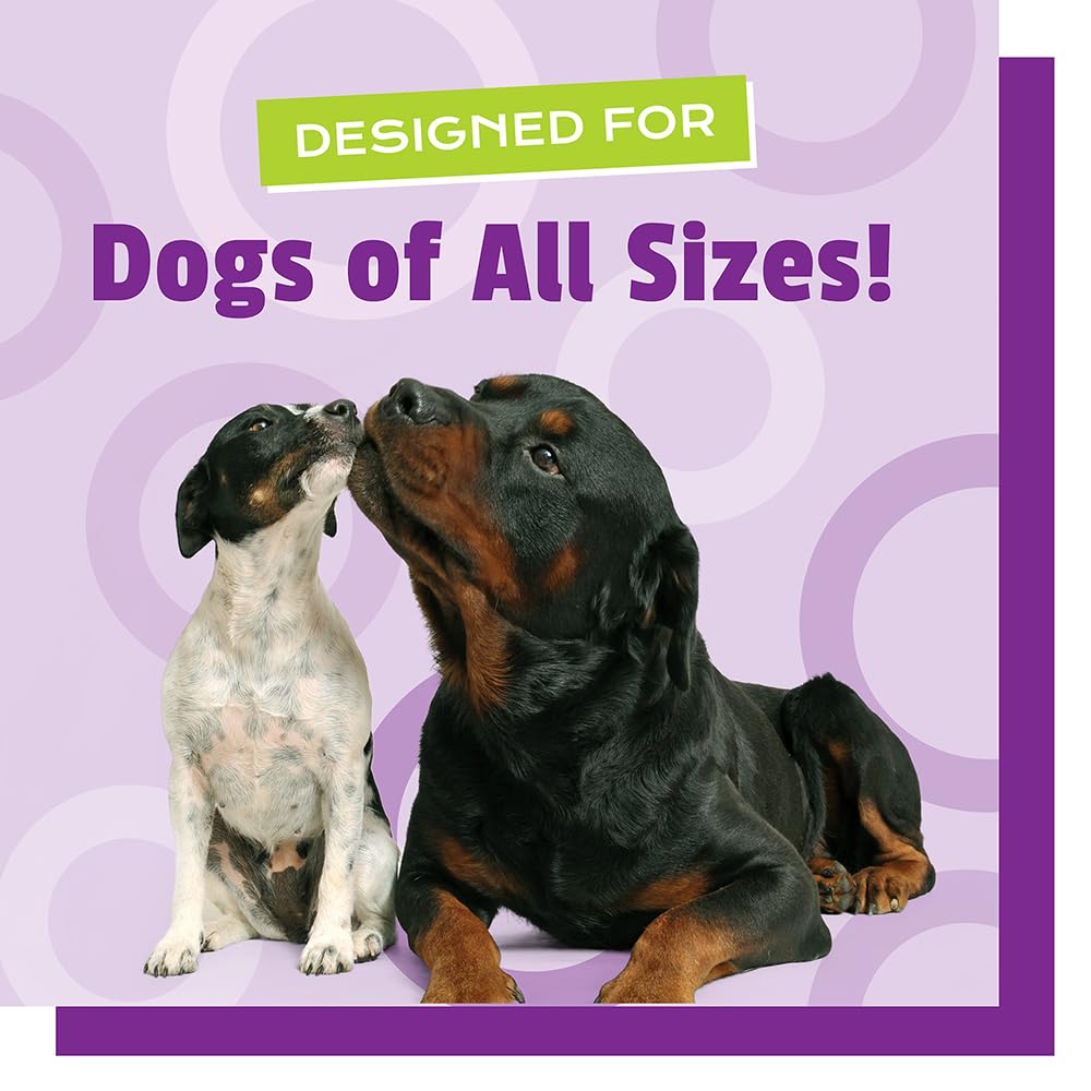 Pet Naturals BusyButter Easy Squeeze Calming Peanut Butter for Dogs, 6 Pouches - Great for Treats, Lick Mats, Training, Calming,