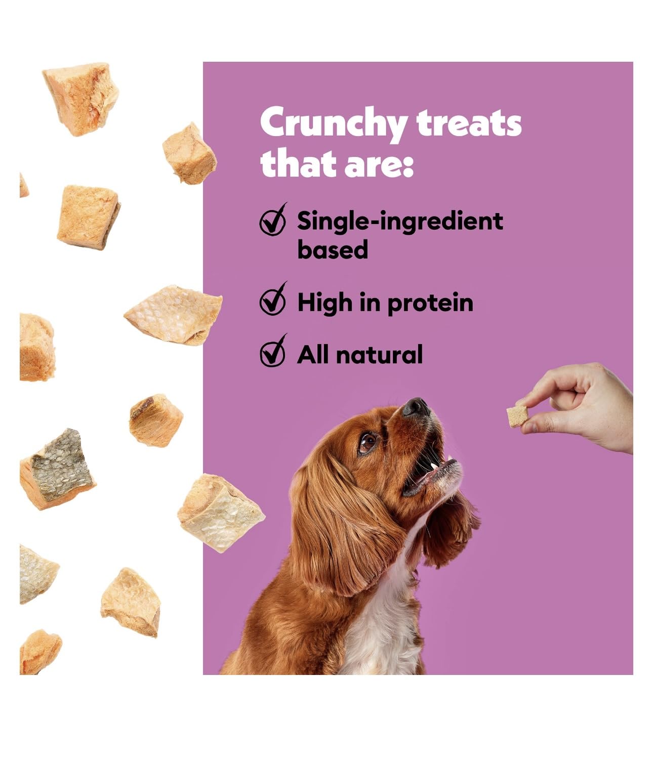Wiggles & Wags Freeze Dried Salmon Dog Treats with Bone Shaped Waste Bag Dispenser, 4 oz