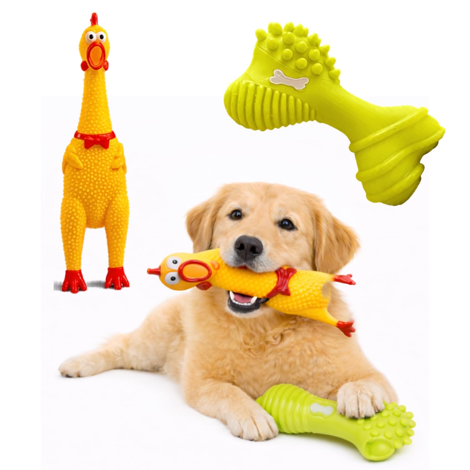 PetKartel Dog Squeaky Toy Combo | Chicken Shape Toy & Big Bone Chew Toy for Dogs | Interactive Puppy Play for Biting, Training, 