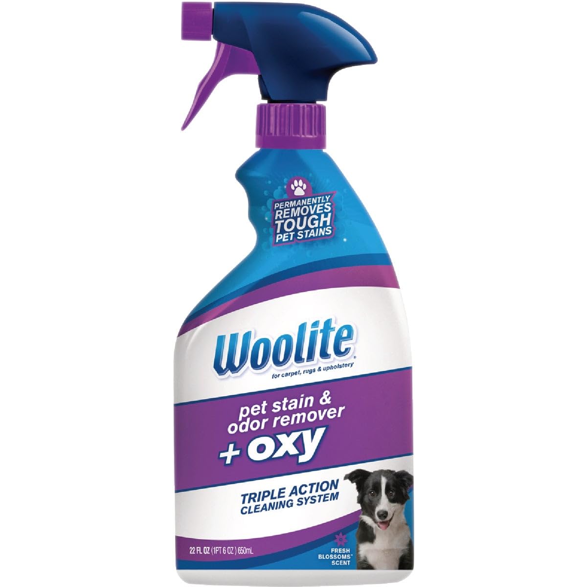 Bissell Woolite Cat/Dog Odor/Stain Remover 22 Oz.