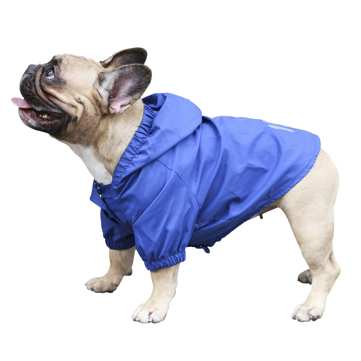 Ichoue Dog Cold Weather Coats Water Resistant Raincoats Lightweight Windbreaker Hooded Jackets For French English Bulldog Pitbull Pug Boston Terriers Outdoor Rain Coat - Blue, Small