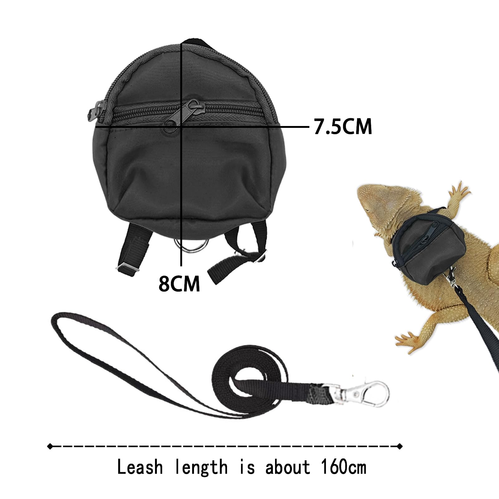 Desert Iguana Backpack Carrier,Bearded Dragon Portable Backpack Carrier With Small Backpack Harness Leash Set,Space Capsule Clea