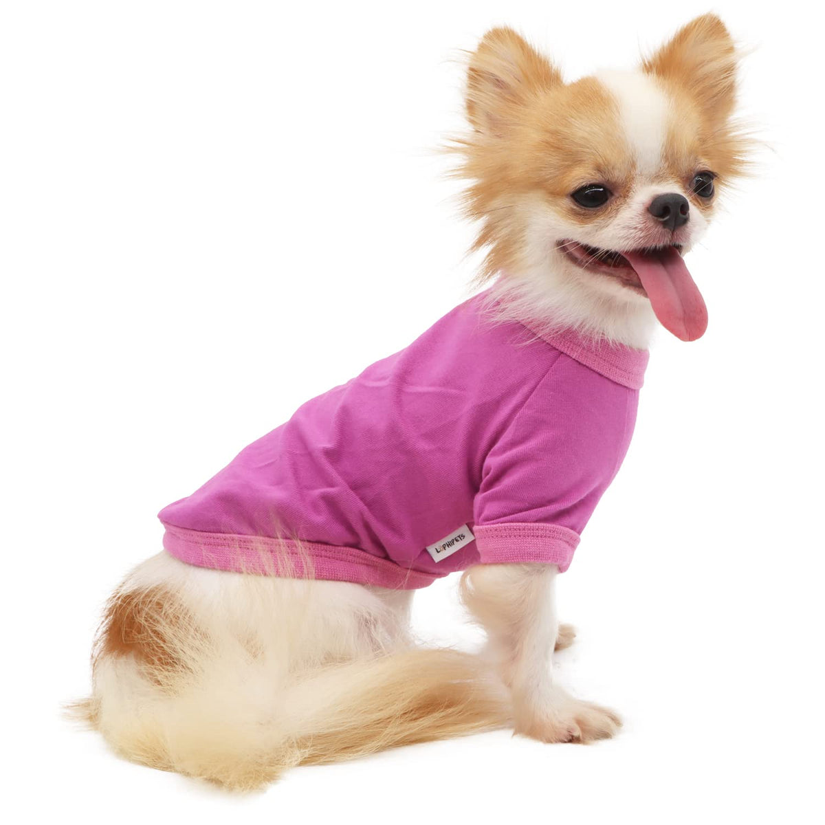 Lophipets 100% Cotton Dog Tee Shirt For Small Dogs Chihuahua Puppy Clothes-Purple/Xl