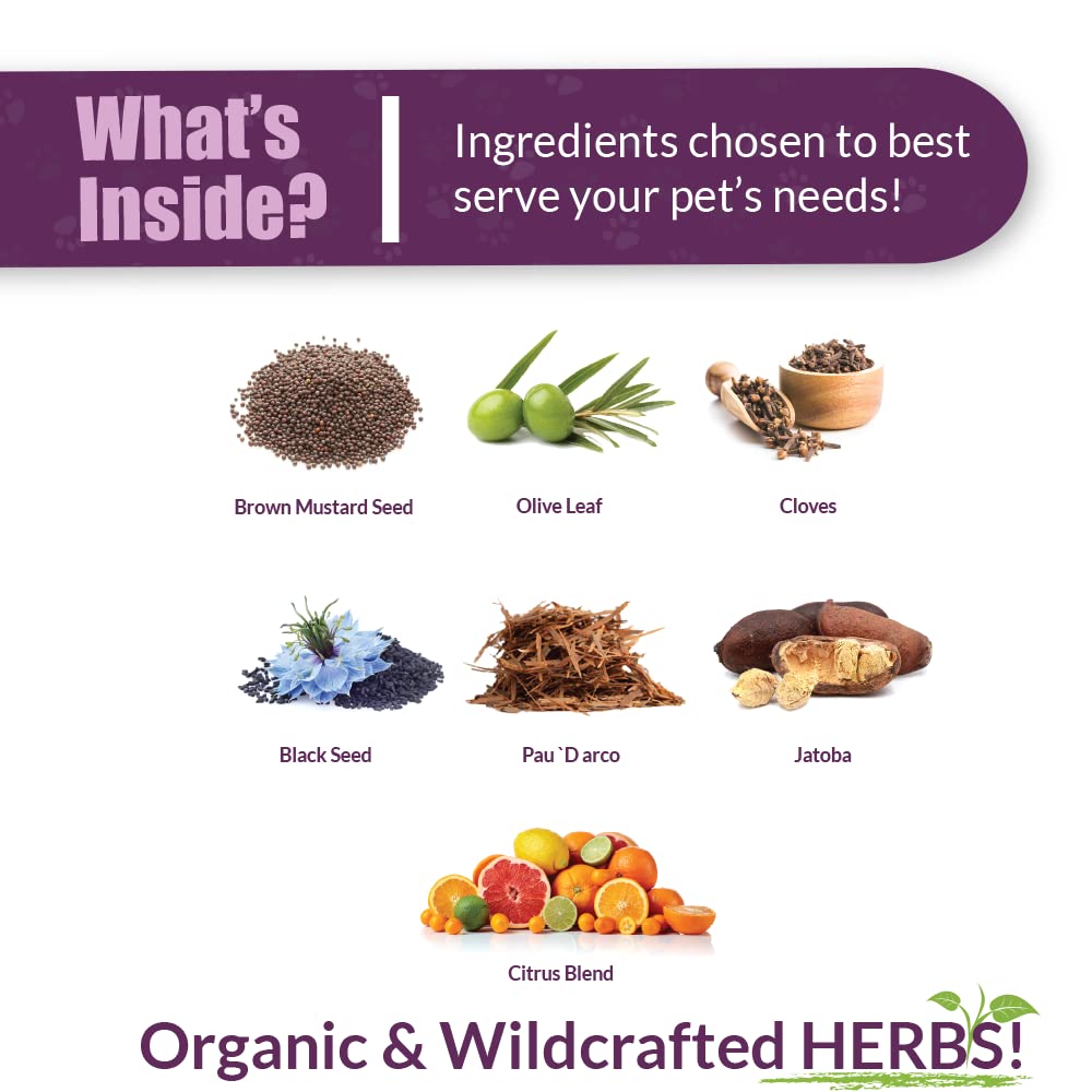 Amber NaturalZ Vibactra Plus Herbal Supplement for Dogs, Cats, Birds, Guinea Pigs, and Rabbits | Herbs for Immune Health and Yea