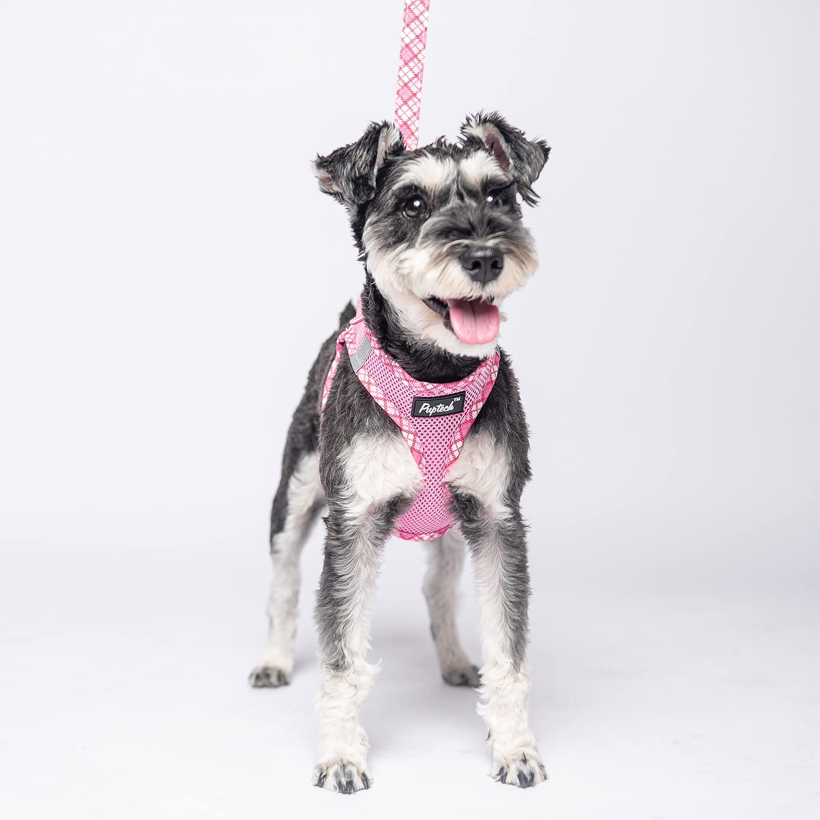 Pupteck Dog Harness And Leash Set For Small Medium Dogs No Pull Step-In Soft Mesh Puppy Cat Vest Harnesses Reflective At Night, Pink M