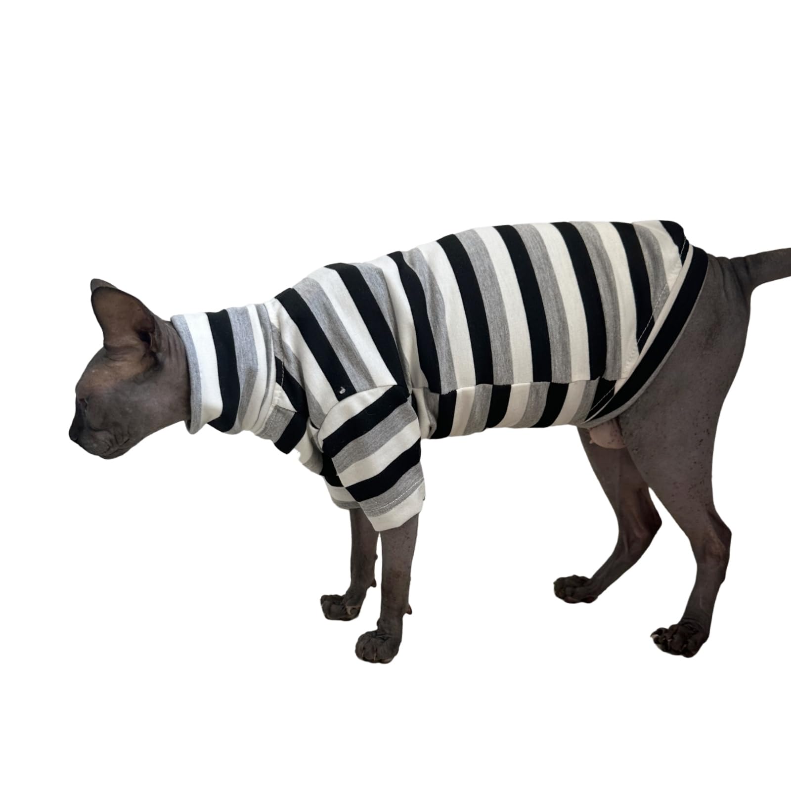 Vintage Stripes Sphynx Hairless Cats Shirt Cotton Cat Turtleneck Pet Clothes Kitten T-Shirts With Sleeves For Sphynx Cats (Black