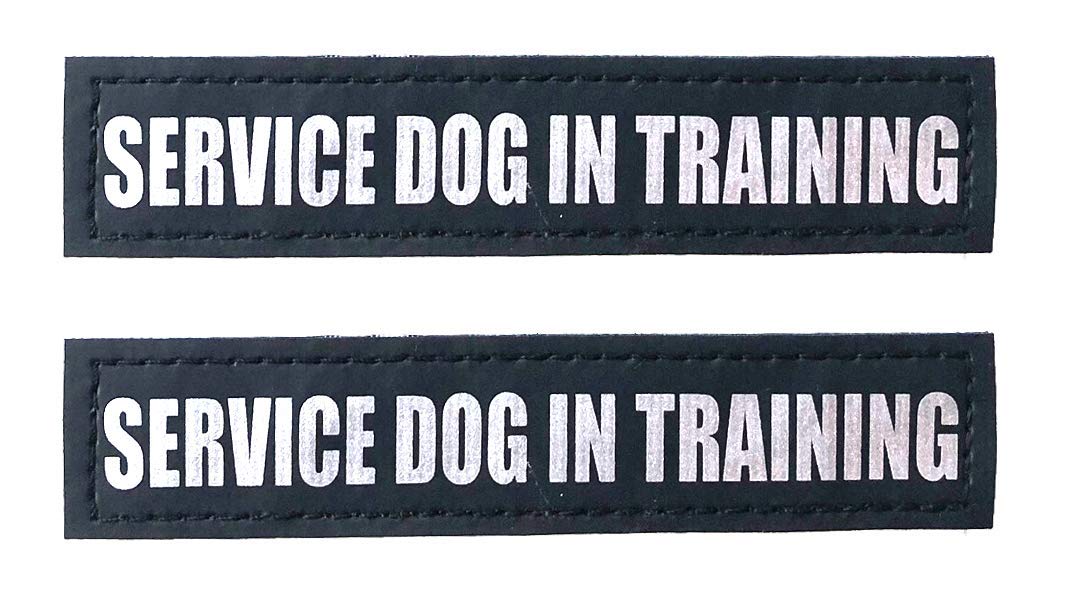 Albcorp Reflective Service Dog In Training Patches With Hook And Loop Backing For Service Animal Vests /Harnesses Xxs Or Extra Small (3.5 X 1) Inch