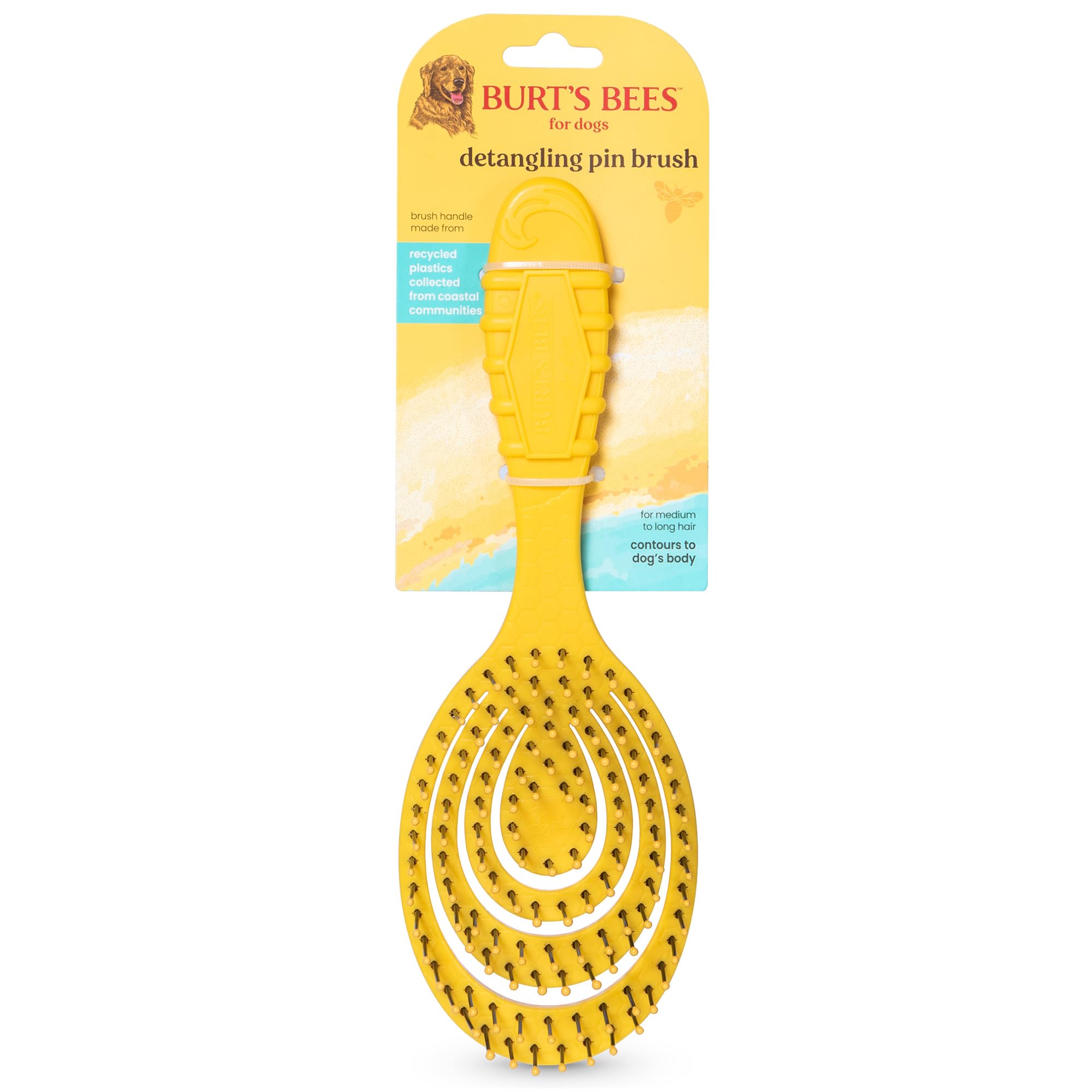 Burts Bees for Pets Detangling Pin Brush for Dogs with Medium to Long Hair with Handle Made from Recycled Plastics Collected fro