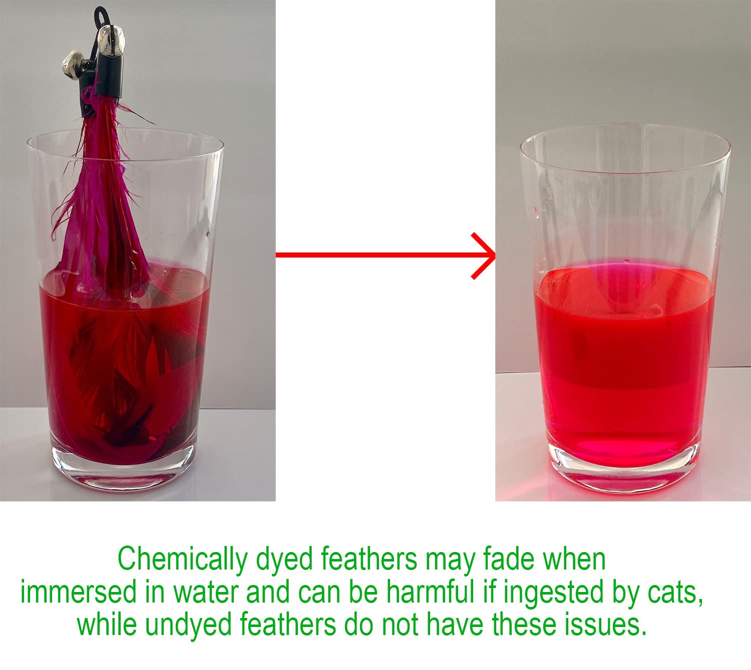 Ecocity Cat Toys - No Chemical Dyeing Cat Feather Toys For Indoor Cats - Include Cat Wand And Natural Feather Refills