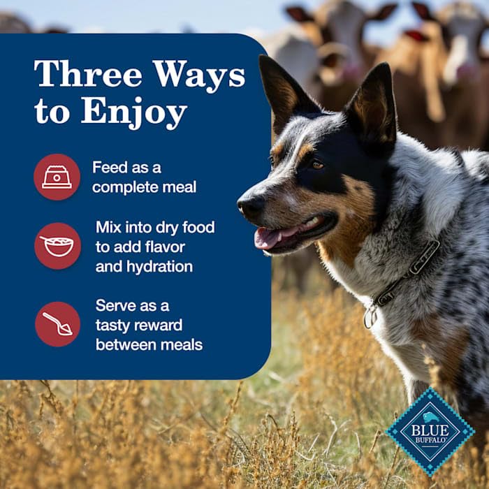 Blue Buffalo Homestyle Recipe Natural Adult Wet Dog Food Variety Pack, Chicken & Beef 12.5 oz cans (6 Count- 3 of Each Flavor)