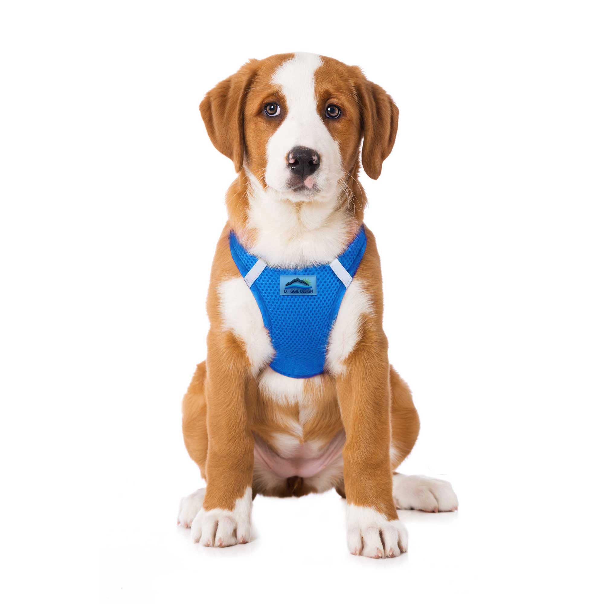 Doggie Design Dog Harness - No Choke Dog Harness, Dog Vest, Mesh Polyester, Pet Harness, Simple Step In And Go Design, Harness For Dog - Cobalt Blue, L