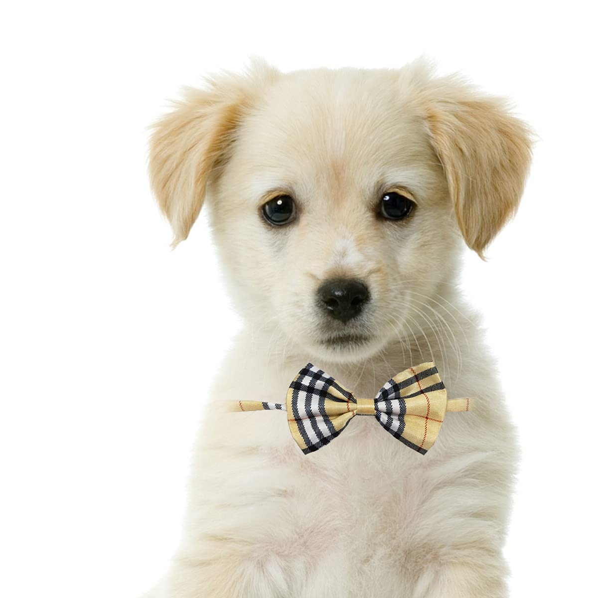 Petunny Dog Bow Ties With Adjustable,10Pcs Pet Bowties Cat Bow Ties Bulk Pet Bowties For Small Medium Boy Girl Dogs Cats Pet Grooming Accessories For Halloween Thanksgiving Christmas (Random Color)