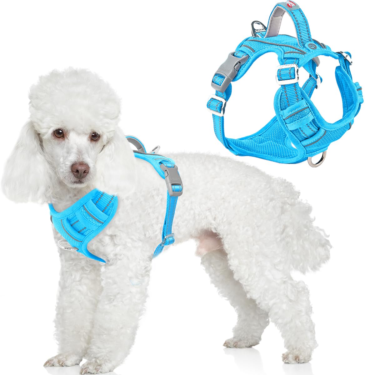 BARKBAY Dog Harness No Pull with ID Tag Pocket - Heavy Duty, Reflective, Easy Control for Large Dogs(Blue,XS)