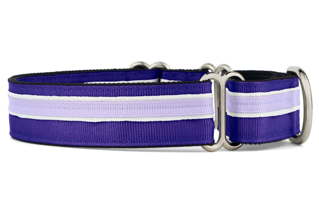 If It Barks 1' Martingale Collar For Dogs, Adjustable Nylon, Usa Made, Medium, Grape Crush