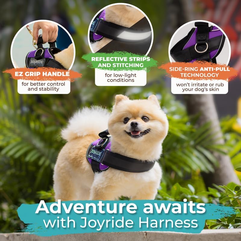 Joyride Harness 2.0 - The Original Side Ring No Pull Dog Harness - No Choke, Escape Proof, Reflective, 3 Leash Clips, Quick Fit