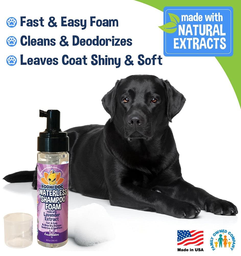 Bodhi Dog Waterless Shampoo - Natural Dry Shampoo For Dogs & Cats - Neutralizes Pet Odor - No Rinse Required - Made Of Natural Extracts - Safe For Sensitive Skin - Made In Usa - Lavender (8 Fl Oz)
