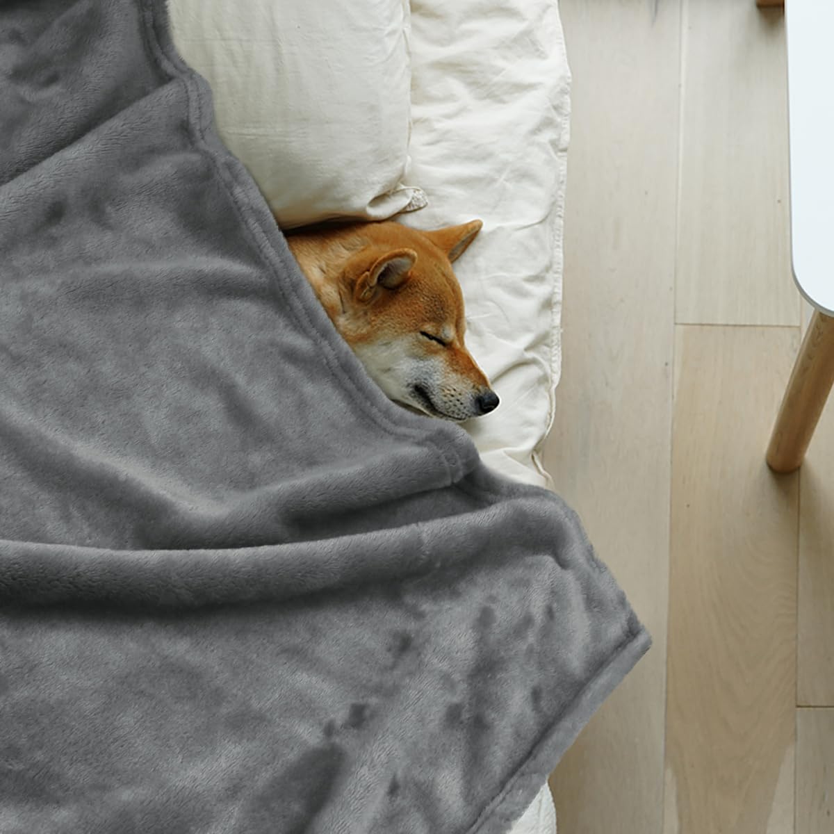 Onarway Dog Blanket Washable For Bed: 2 Packs Dog Blankets 40   X47    - Fluffy Soft Large Throw For Cat Puppy Kitten Dogs - Fle